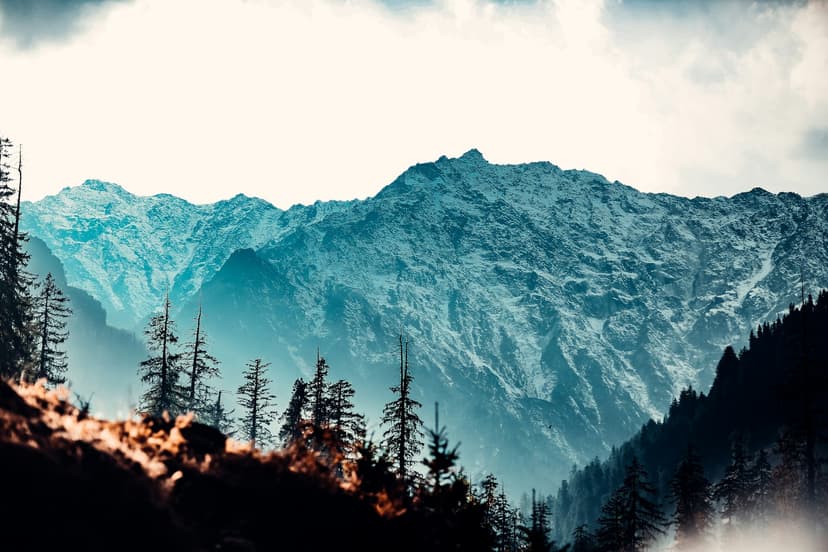 Manali Adventure: Snow & Mountains